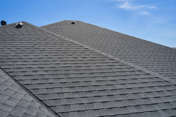 Best Roof Coating and Sealing  in Loris, SC